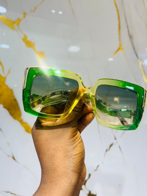 ML 136 Veyra Sunglasses - Image 2